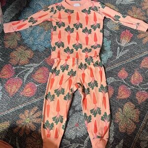 Hanna Andersson Orange Carrot Pajama set